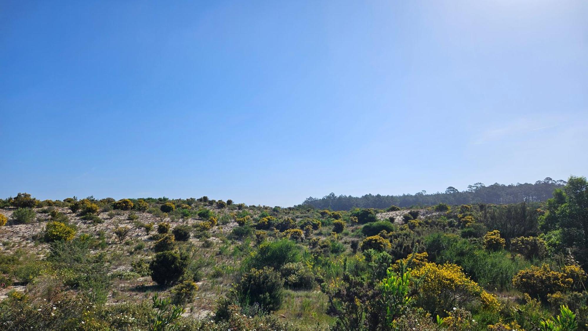Nazare Uninterrupted Views And Sounds Of The Sea Apartment Pataias